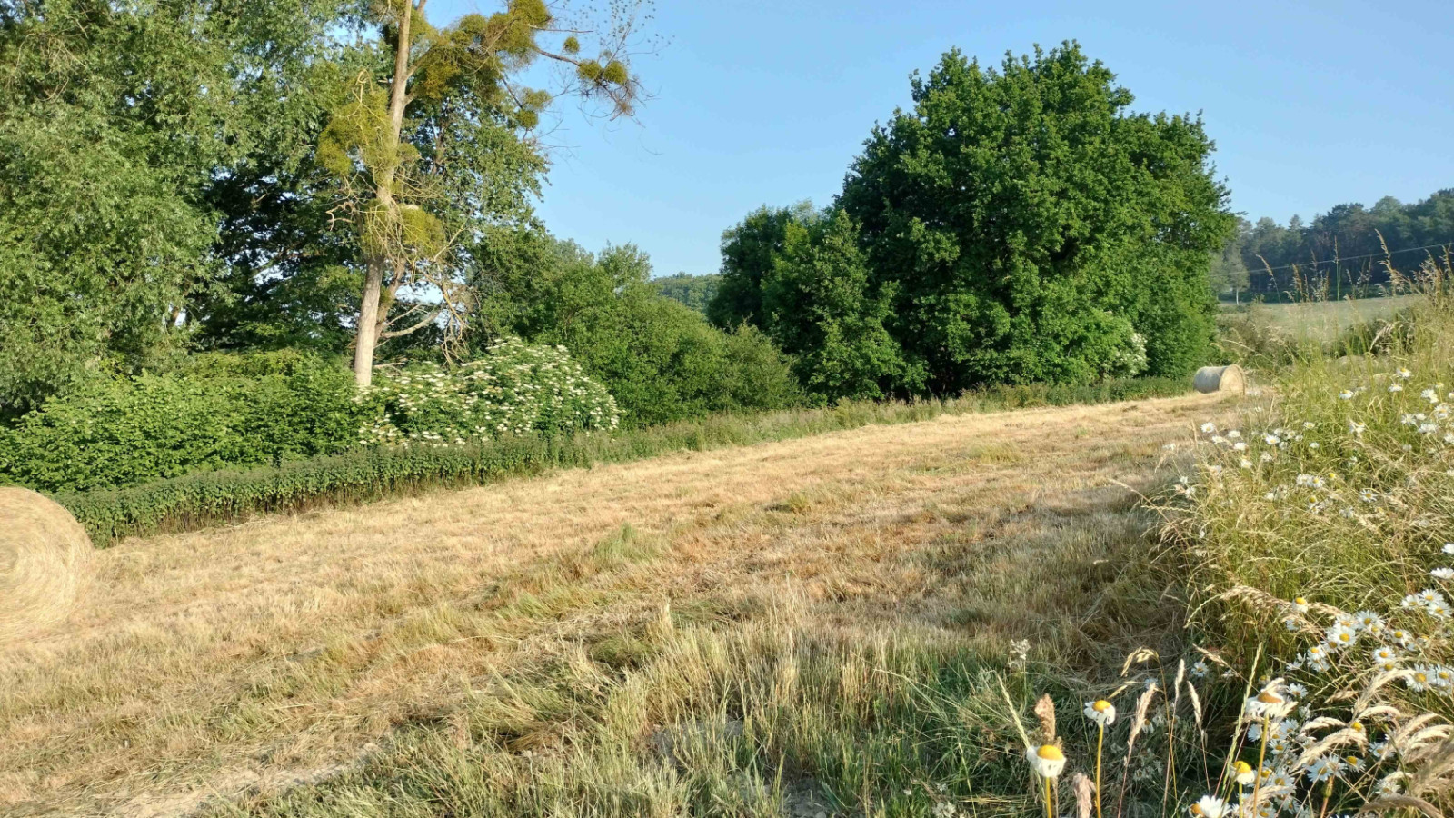 Terrain constructible de 480m2 à La Noë-Blanche