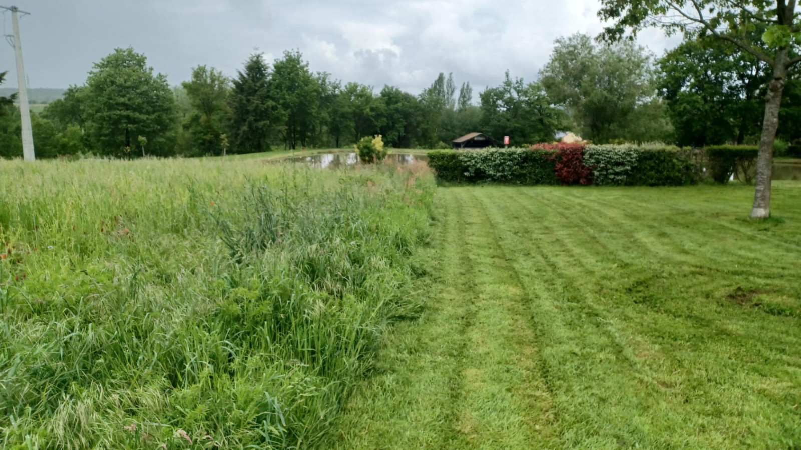 Terrain constructible de 601m2 à La Chapelle-Thouarault