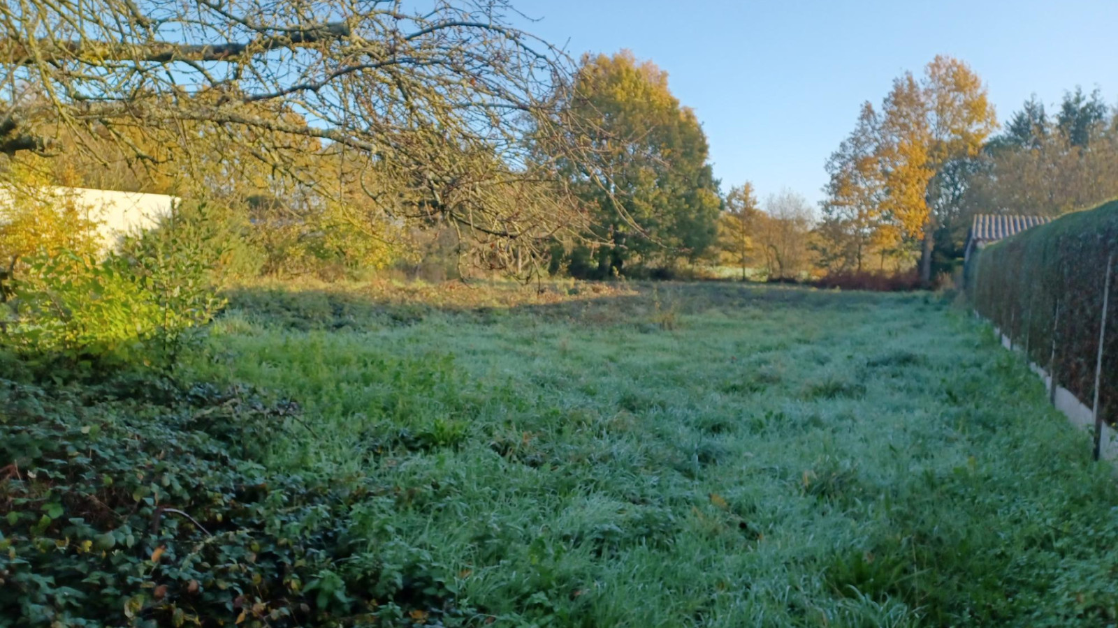 Terrain constructible de 380m2 à Boisgervilly