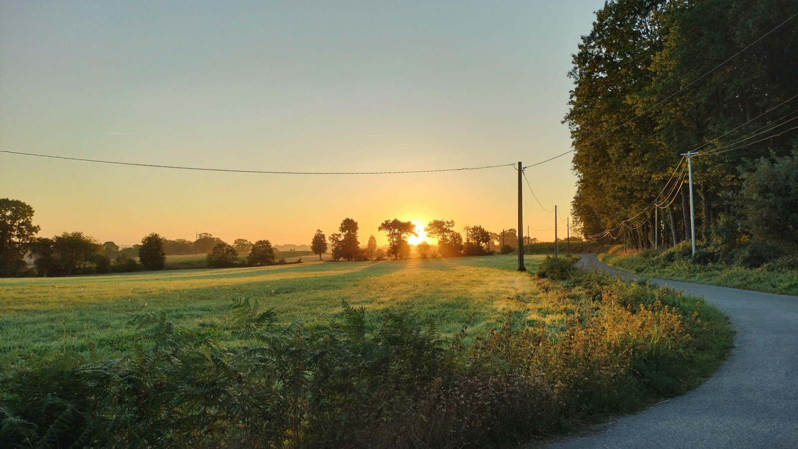 Terrain constructible de 313m2 à La Fresnais