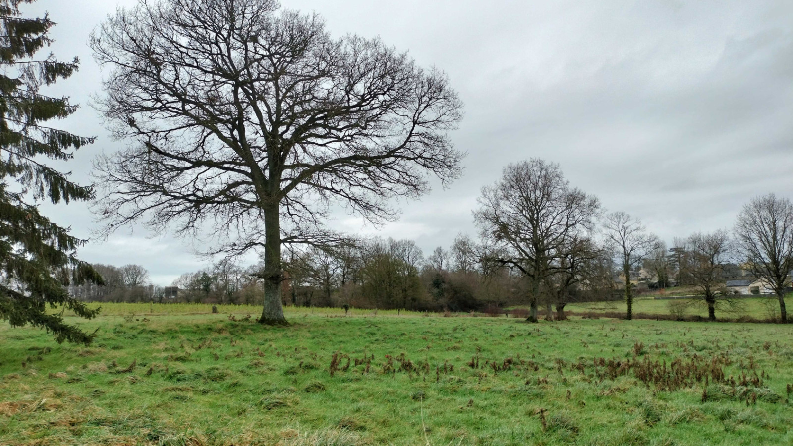 Terrain constructible de 220m2 à Saint-Symphorien