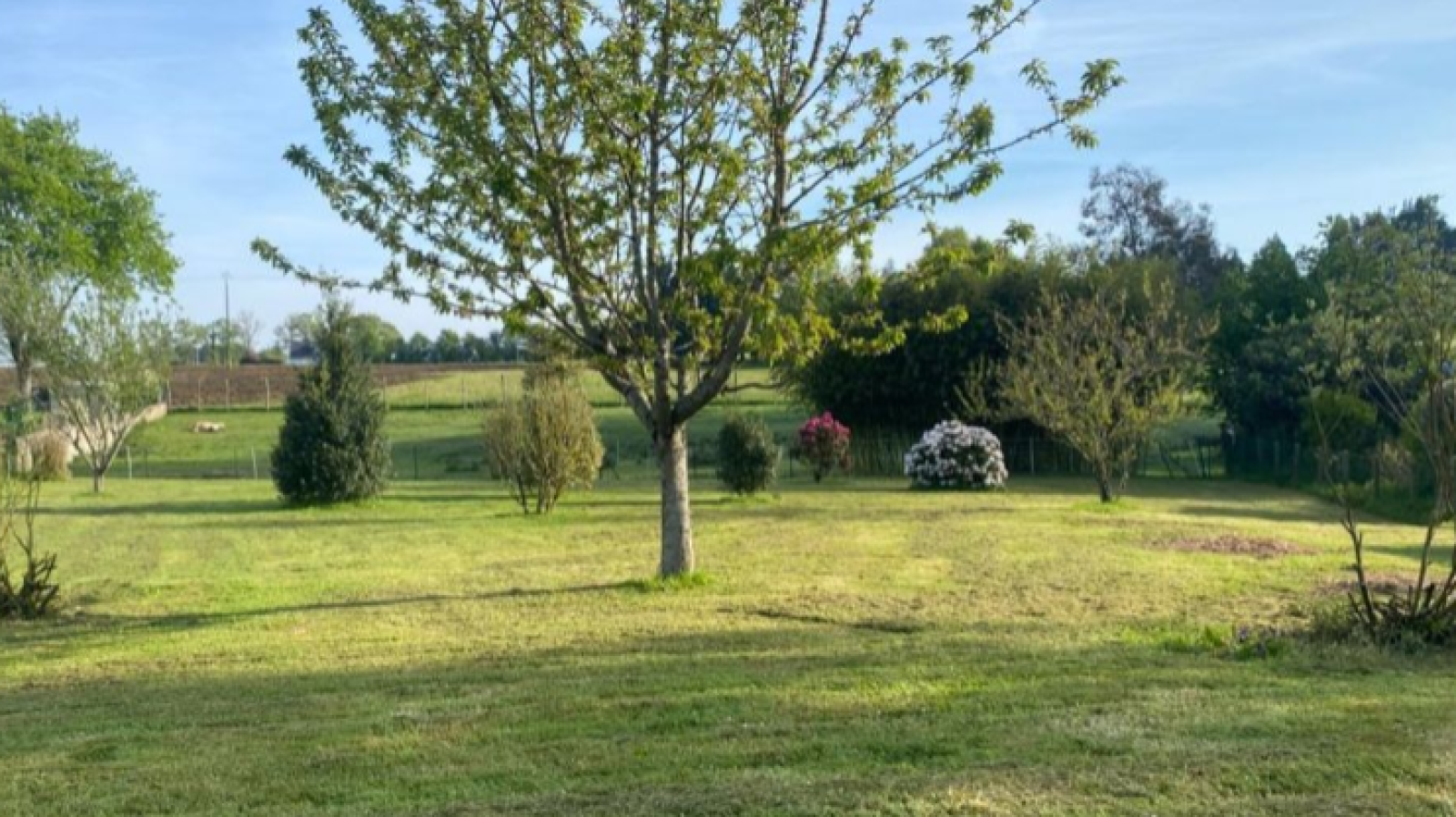 Terrain constructible de 430m2 à Saint-Avé