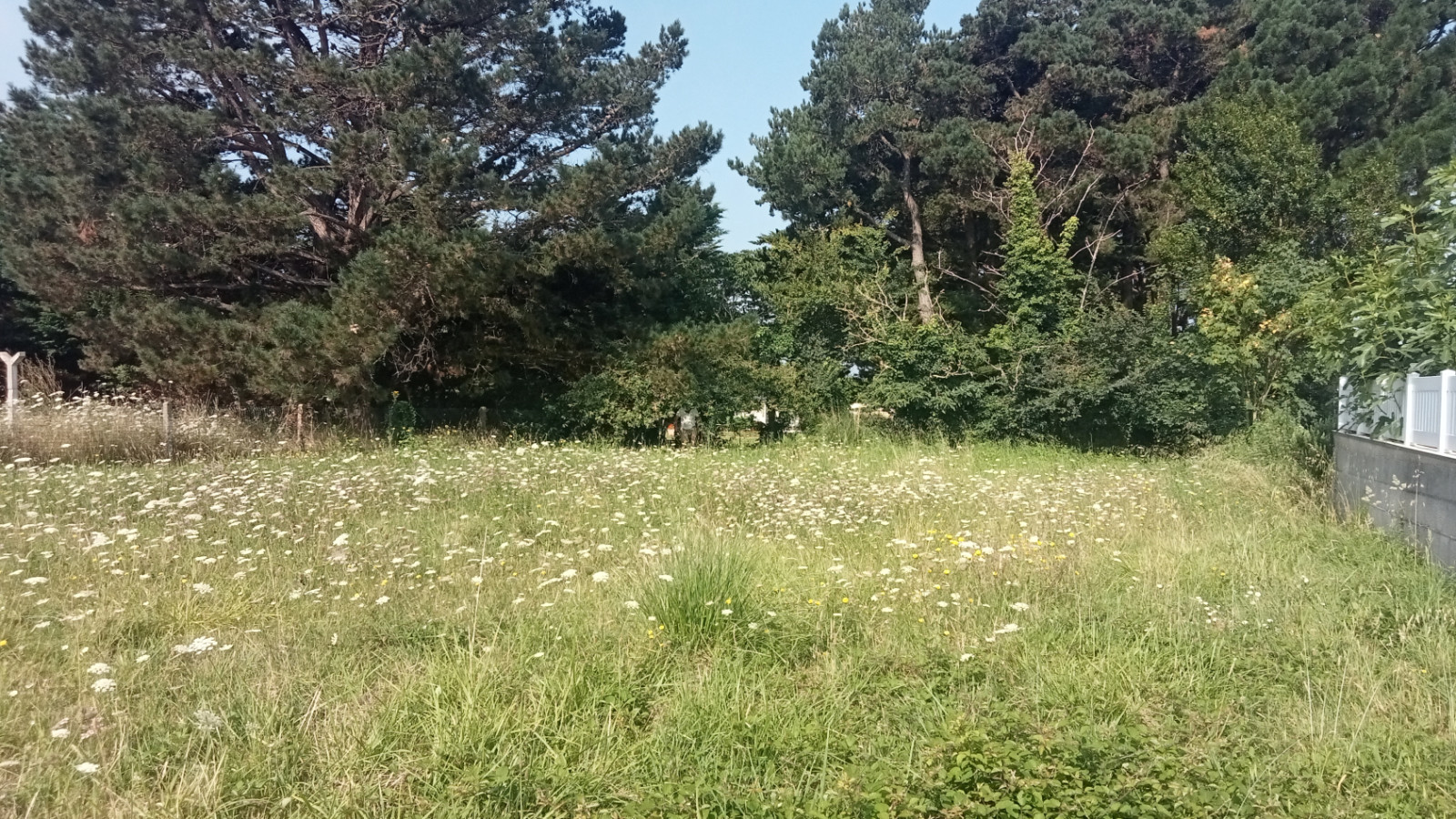 Terrain constructible de 650m2 à Port-Saint-Père