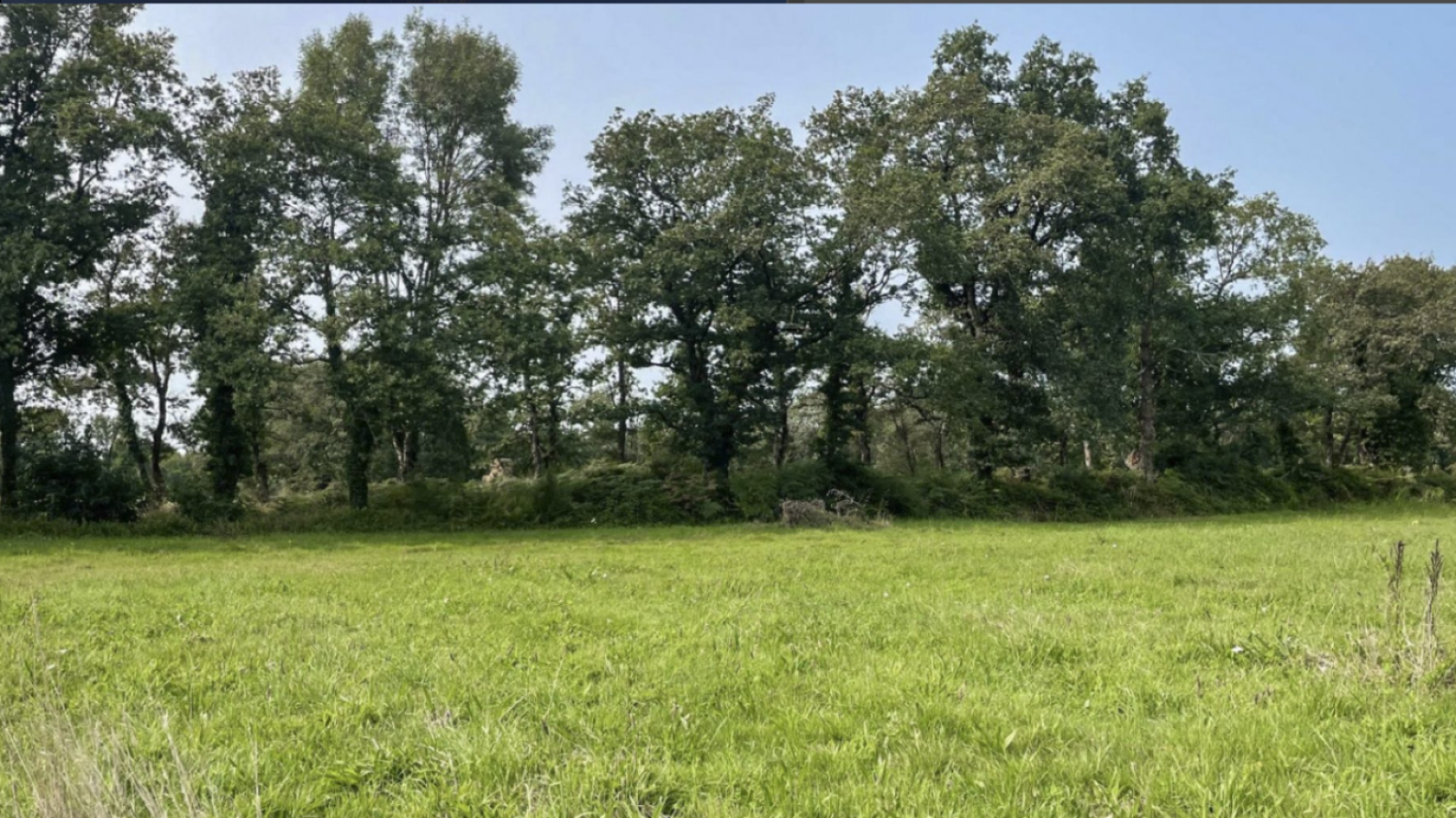 Terrain constructible de 984m2 à Plescop